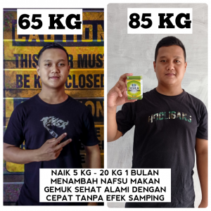 obat gemuk badan permanen GEMUK MAX’S 60 kapsul BPOM