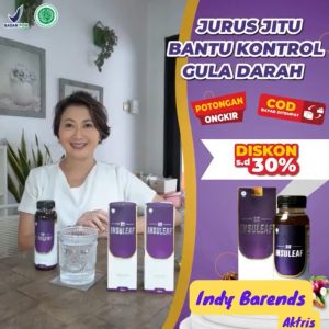 OBAT HERBAL DIABETES BIO INSULEAF [BPOM DAN HALAL]