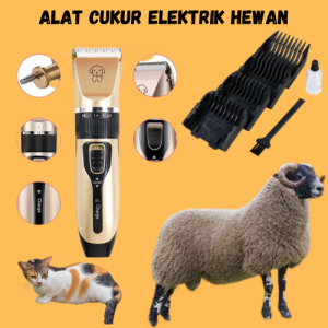 BEST SELLER BaoRun PRO Alat Cukur Elektrik Bulu Hewan Peliharaan Isi Ulang / alat cukur domba garut kambing kucing anjing elektrik di cas yang bagus manual / mesin cukur hewan domba anjing kambing kucing garut cas elektrik murah terbaru mantap cod